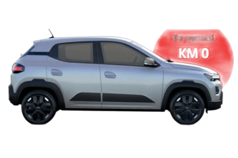 DACIA Spring Cargo Electric 65